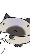 초영