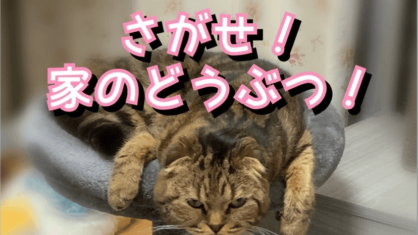 さがせ！家のどうぶつ！