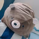 ぽん太