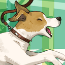 プッチ