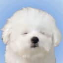ひつじ