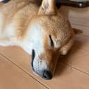 てぃーくん