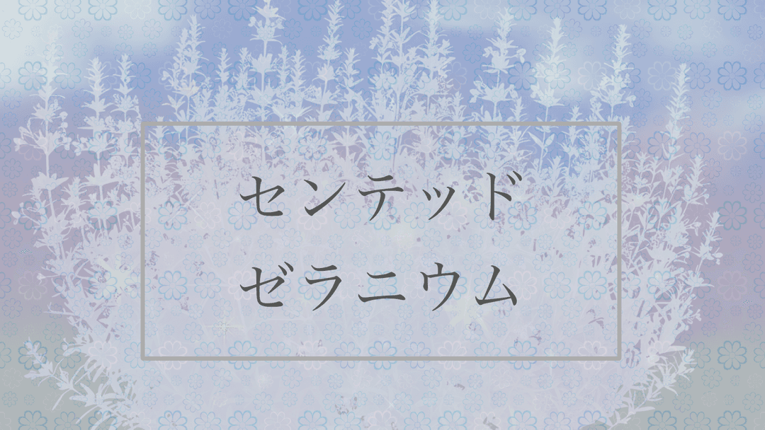 センテッド・ゼラニウム background image