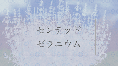 センテッド・ゼラニウム background image