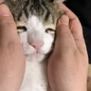 ヒロヤ