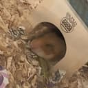 どうするよ