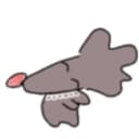 あきま