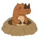 おなかかゆい