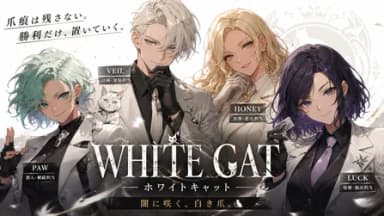 WHITE CAT background image