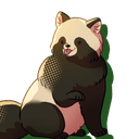 タヌキ