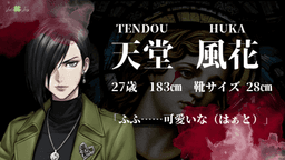 偽装フェイクスター