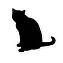 猫の小判