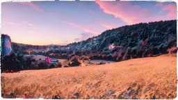 HOMECOMING（ホームカミング）