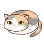 しゃっせ avatar icon