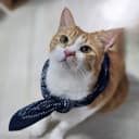 수정수사랑하리