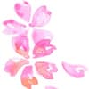 なすび avatar icon