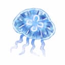 海月・揺良揺良