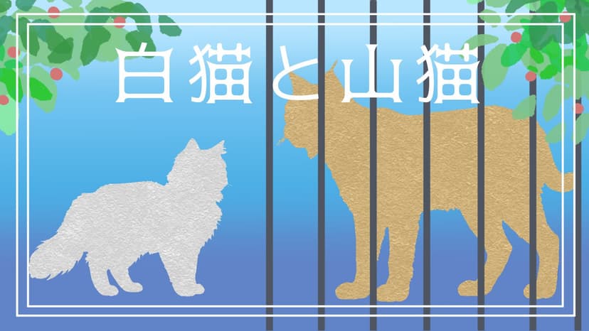白猫と山猫