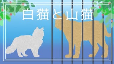 白猫と山猫 background image