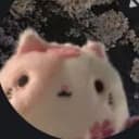 さくら