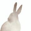 しゃみる avatar icon