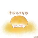 きのうのきなこ