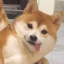 るかかかか