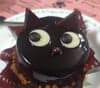 猫野 めぐ avatar icon