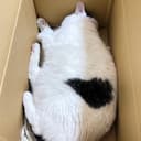 ジュワ