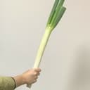たいち