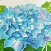 なまり avatar icon