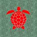 アカガミ