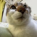 さん