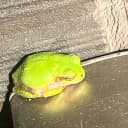 なあたろう