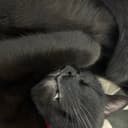 いずむぅ