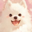 ひより