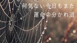 LOST MYSTERY