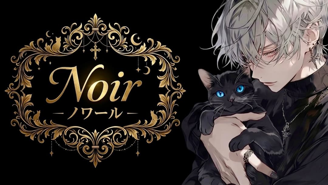 Noir －ノワール background image