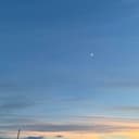 海老天