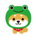 kaki