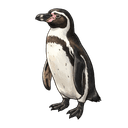 ペンギン