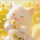 花梨