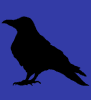 てんちょう avatar icon