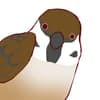 すずめ avatar icon