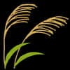 須々木アユム avatar icon