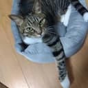 そまり