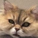 ぴー