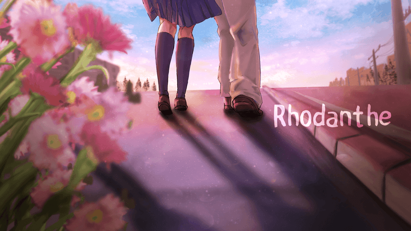 Rhodanthe