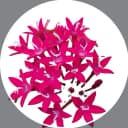 未森（みもり）
