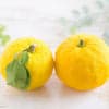 柚子 avatar icon
